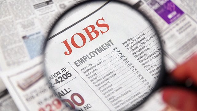 Government Recruitment Drive: Applications Open for Grade 5 and 6 Positions Starting November 1