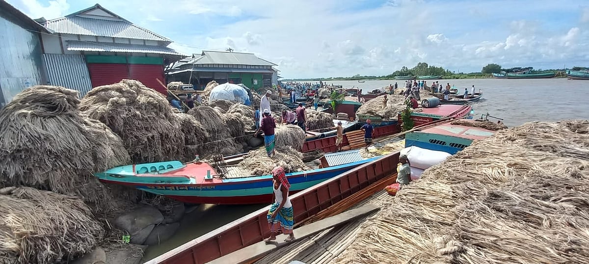 মুন্সিগঞ্জের টঙ্গিবাড়ী উপজেলার ঐতিহ্যবাহী ভাসমান পাটের হাটে চলছে পাটের বেচাকেনা। শুক্রবার সকালে দিঘিরপাড় বাজারে