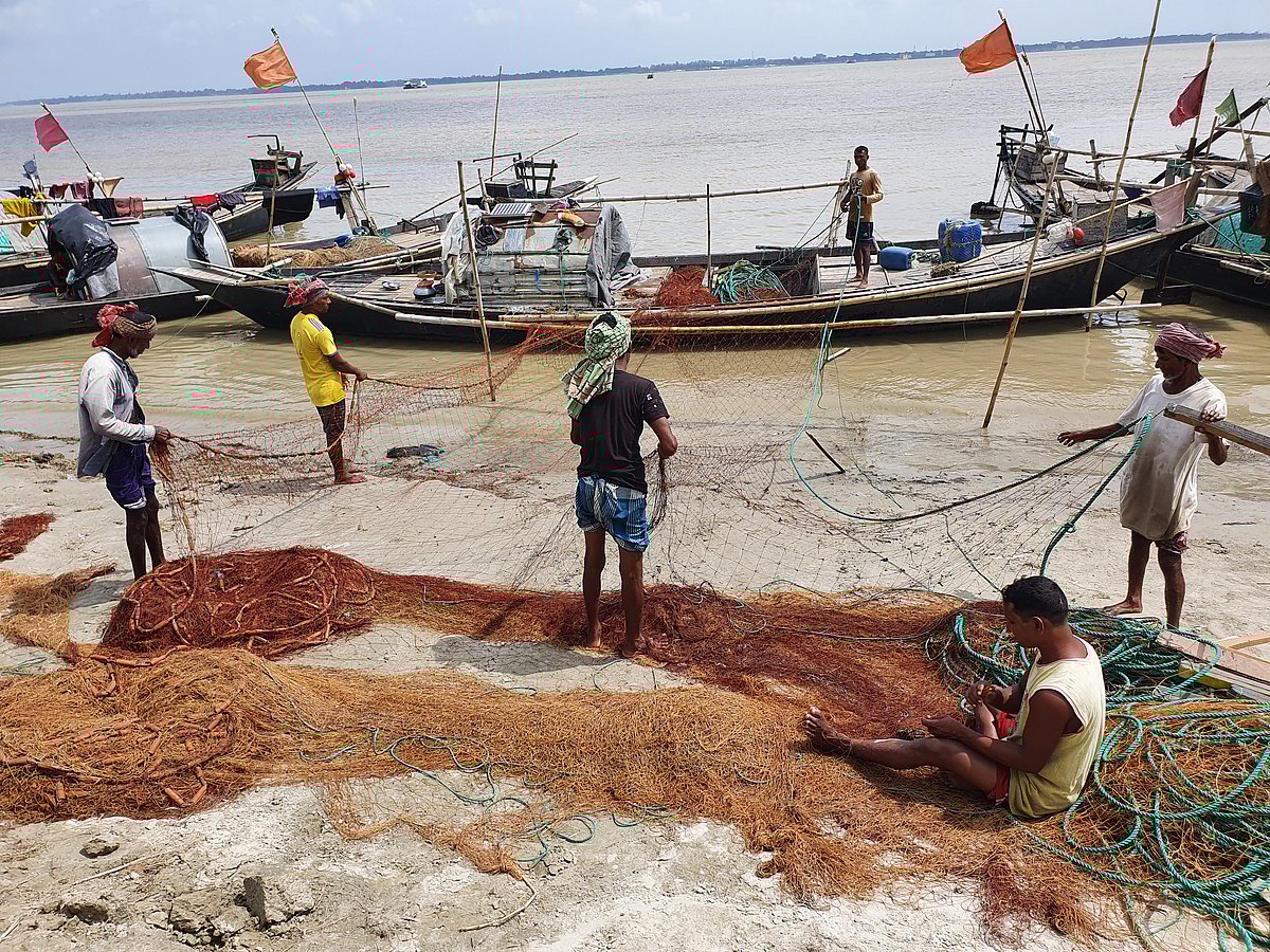 রাজবাড়ীর গোয়ালন্দ উপজেলার দৌলতদিয়া ঘাট এলাকায় পদ্মা নদীর পাড়ে বসে জাল মেরামতের কাজ করছেন জেলেরা