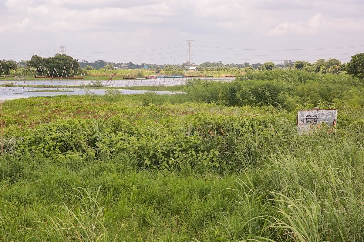 ঢাকার কেরানীগঞ্জের তারানগর ইউনিয়নে বড় মনোহরিয়া এলাকায় জলাশয় ভরাট করে আবাসন প্রকল্পের কাজ চলছে।