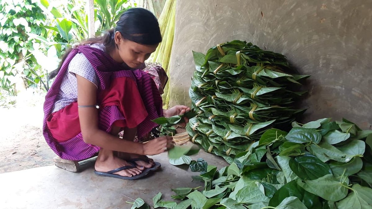 পান সাজানোর কাজ করছেন একজন খাসিয়া নারী