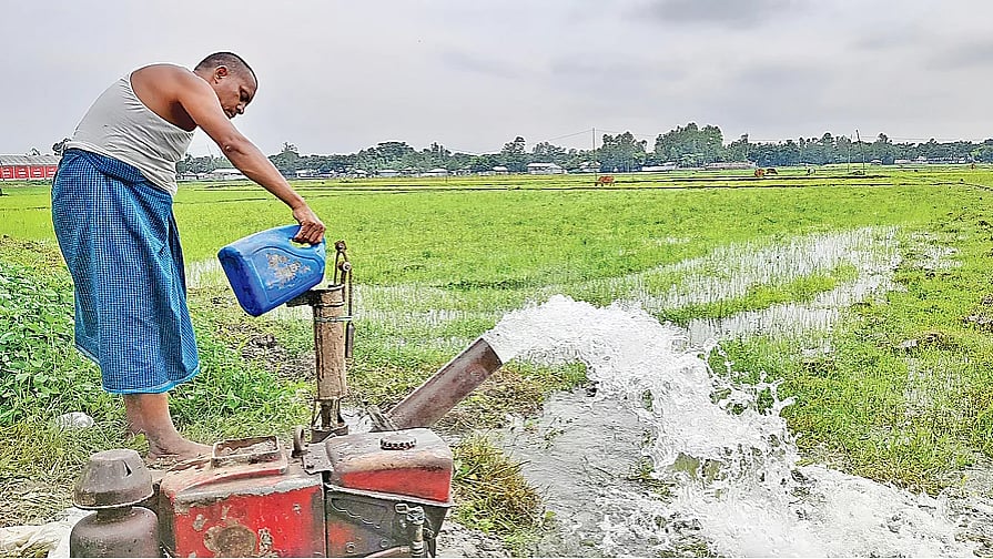 ডিজেল, সার ও শ্রমিকের বাড়তি খরচ পুষিয়ে নেওয়ার জন্য কৃষকেরা যাতে তিন থেকে চার বছরের মতো ধানের ভালো দাম পান, সেদিকে অধিক গুরুত্ব দিতে হবে