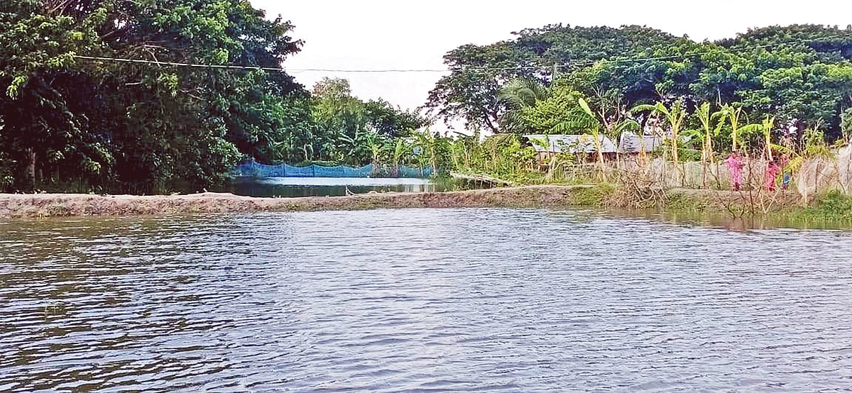 রাঙ্গাবালীর ছোটবাইশদিয়া ইউনিয়নের চর ইমারশন খালে এভাবে বাঁধ দিয়ে মাছ চাষ চলছে