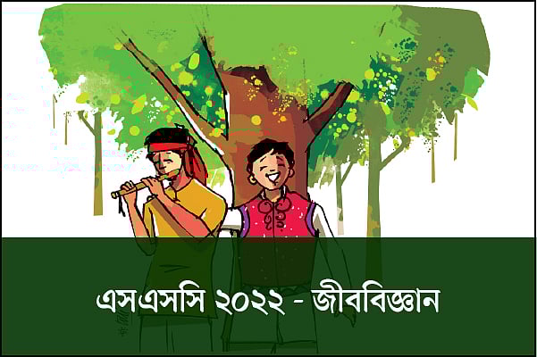 Paypoqda buvilar porno