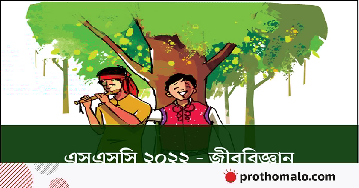 Toliq sonli yalangoch ayollar Paypoqda buvilar porno