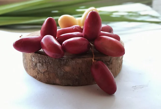 Adriana Avalon porno