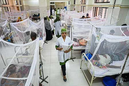 হাসপাতালে ডেঙ্গু রোগী