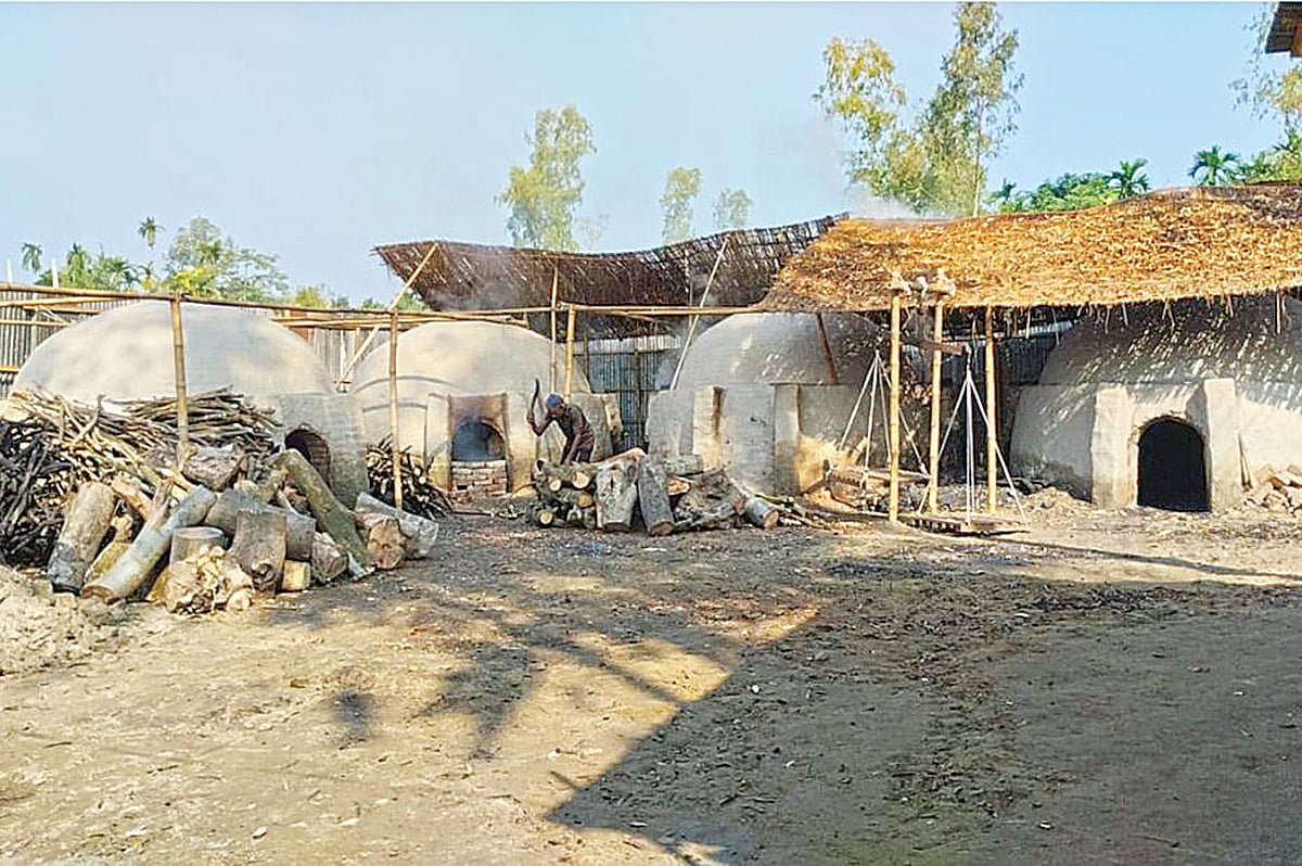 গাইবান্ধার পলাশবাড়ী উপজেলার বাসুদেবপুর গ্রামে গাছের গুঁড়ি পুড়িয়ে কয়লা তৈরি করা হচ্ছে। গত বুধবার সকালে