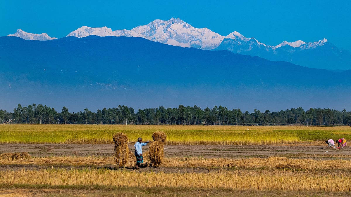 পঞ্চগড়ের তেঁতুলিয়া থেকে প্রতিবছর দেখতে পাওয়া যায় কাঞ্চনজঙ্ঘার চূড়া, ভ্রমণপিপাসুদের কাছে যা খুবই আকর্ষণীয় হয়ে উঠছে