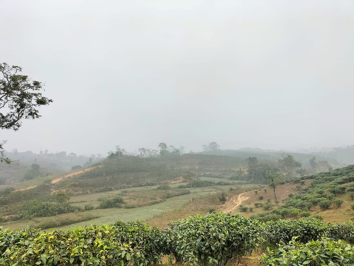 শ্রীমঙ্গলে দেশের সর্বনিম্ন তাপমাত্রার রেকর্ড। বিপাকে পড়েন শ্রমজীবী ও ছিন্নমূল মানুষেরা