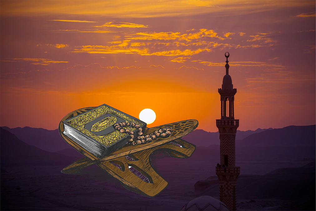 Ikki dost tabiatda jinsiy aloqa qilish uchun yigit topdi.