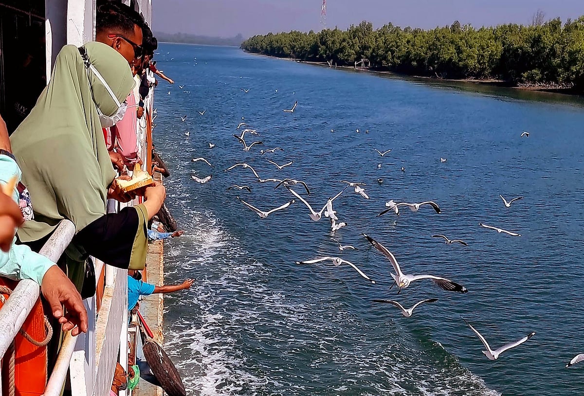টেকনাফ থেকে পর্যটকবাহী জাহাজ ছুটছে সেন্ট মার্টিনের দিকে। সঙ্গী হয়ে পিছু নেয় অসংখ্য গাঙচিল