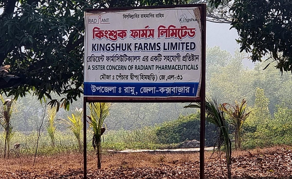 কক্সবাজার-টেকনাফ মেরিন ড্রাইভ সড়কের পাশে প্রতিবেশ সংকটাপন্ন প্যাঁচারদ্বীপ সৈকতের প্যারাবনের পাশে কিংশুক কর্তৃপক্ষের সাইনবোর্ড