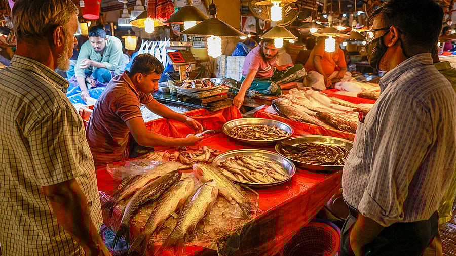 হঠাৎ ব্রয়লার মুরগির দাম বেড়ে যাওয়ায় নিম্নমধ্যবিত্ত ও মধ্যবিত্তদের অনেকে সস্তা দামের মাছের প্রতি ঝুঁকেছিলেন। তবে বাজারে ২০০ টাকা কেজির নিচে কোনো মাছ নেই বললেই চলে