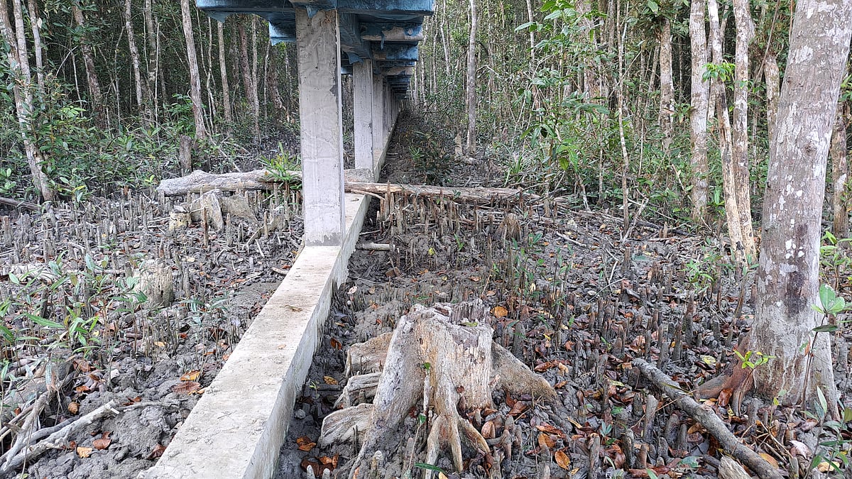 নতুন ইকোট্যুরিজম কেন্দ্র তৈরি করতে গিয়ে গাছ কেটেছে বন বিভাগ। সুন্দরবন পূর্ব বন বিভাগের আন্ধারমানিক ইকোট্যুরিজম কেন্দ্রে