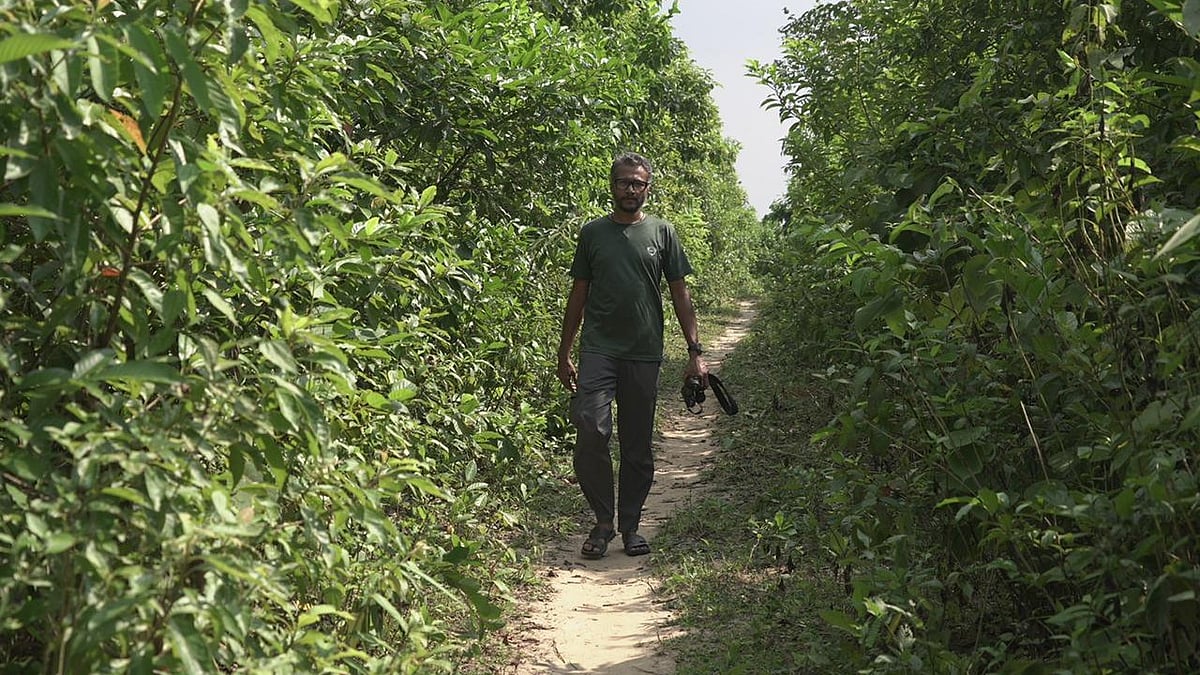 পিটাছড়া বনে মাহফুজ রাসেল