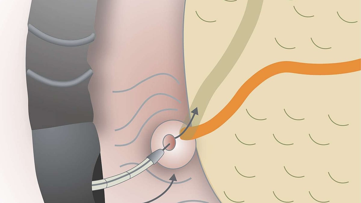 Xitoy jinsiy aloqa video