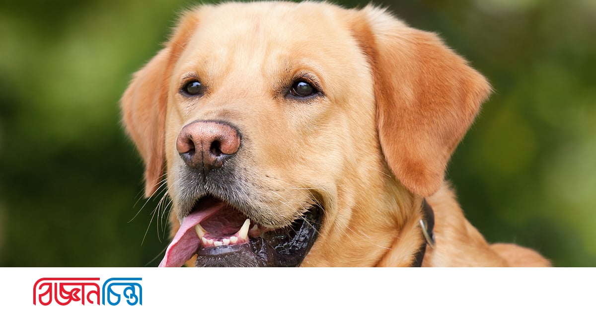 Toliq sochli porno Porno blowjob skrinshot