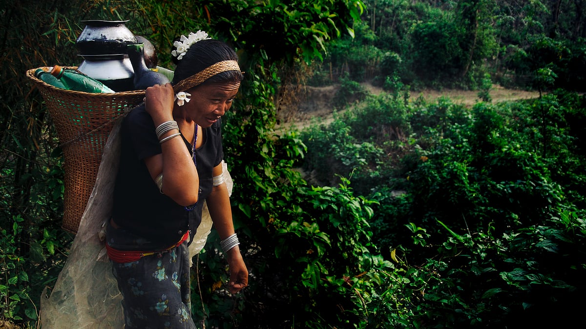 ২৮ মিনিট ৩৮ সেকেন্ডের প্রামাণ্য চলচ্চিত্র ‘দপ্রু ঝিরি’