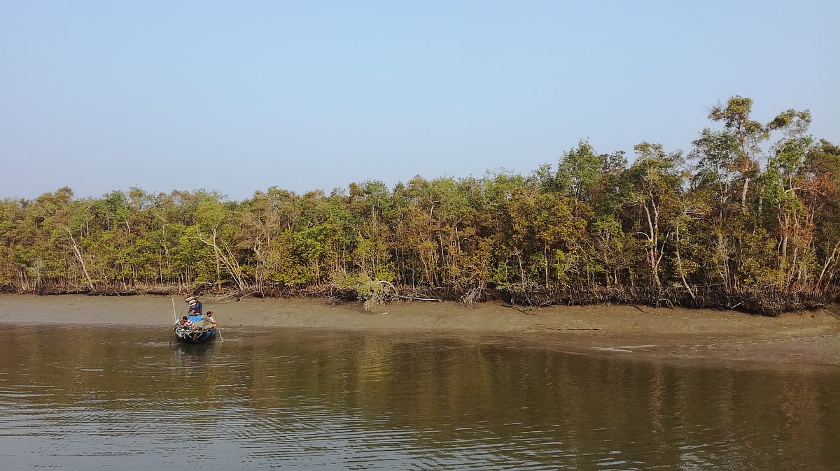 পেটের তাগিদেই সুন্দরবনে যান বনজীবীরা
