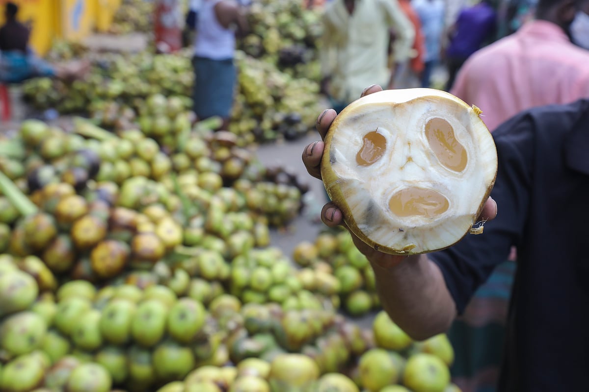 कौन भोजन है?