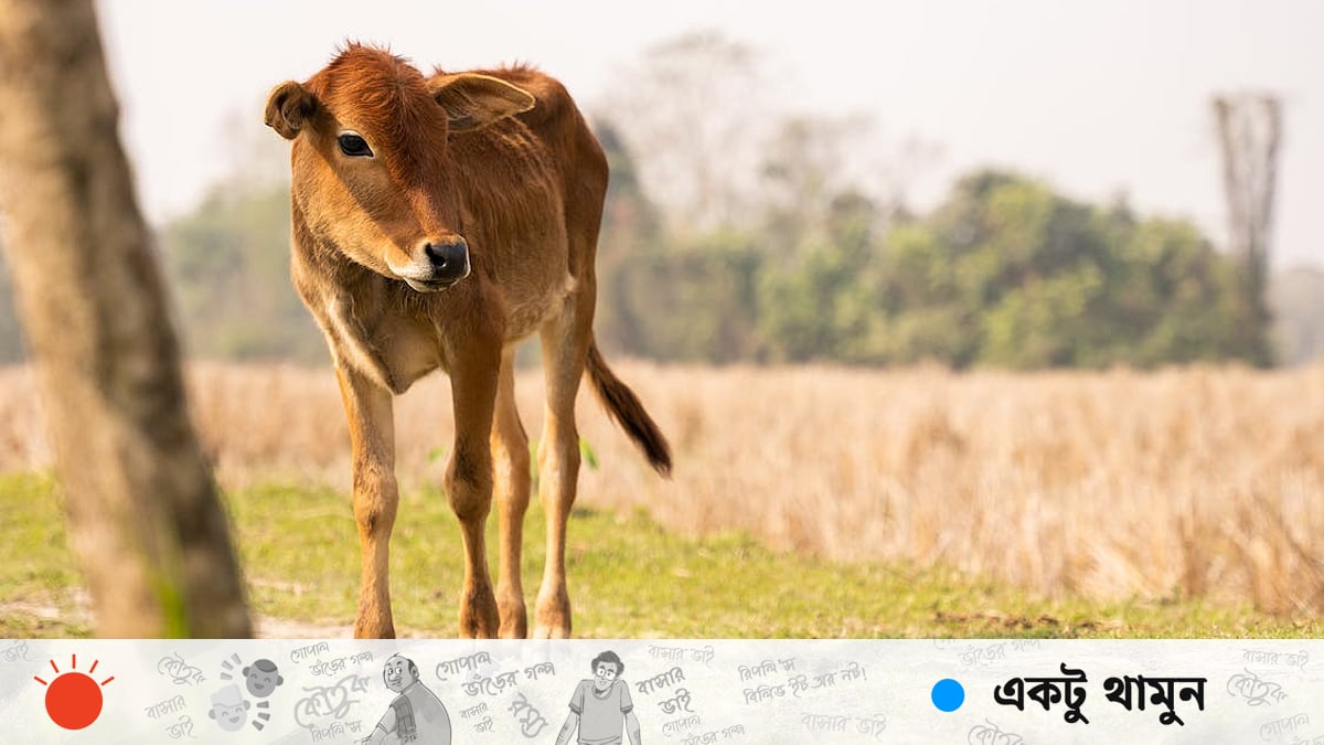 Jinsiy suratda otirgan sport shimli qizlar Qoniqarsiz xotinning uy qurilishi pornosini tomosha qiling