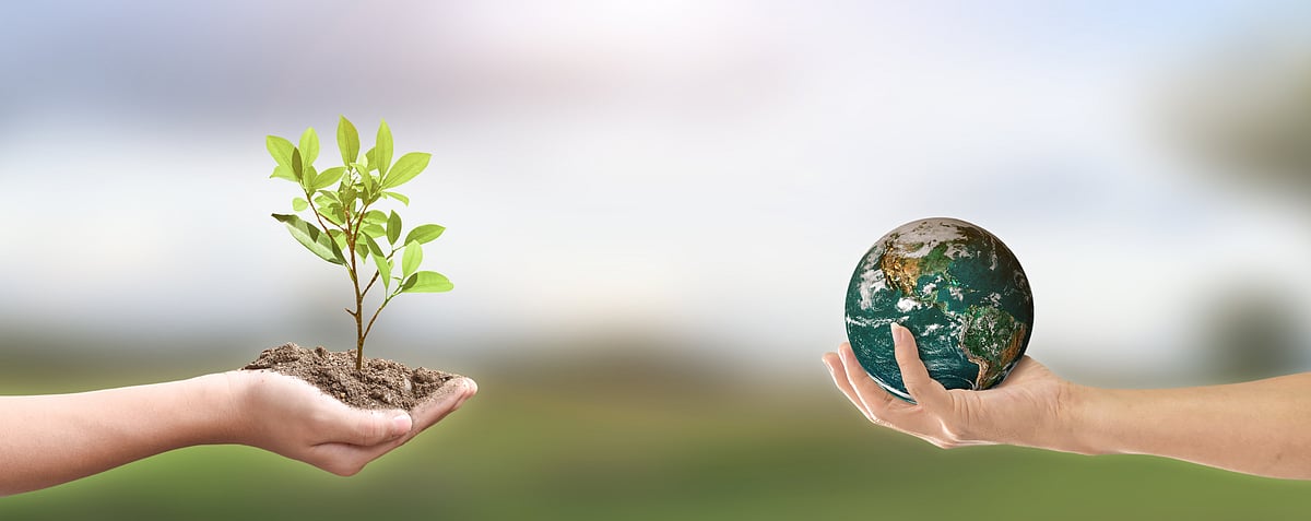 পরিবেশ বাঁচলেই বাঁচবে পৃথিবী