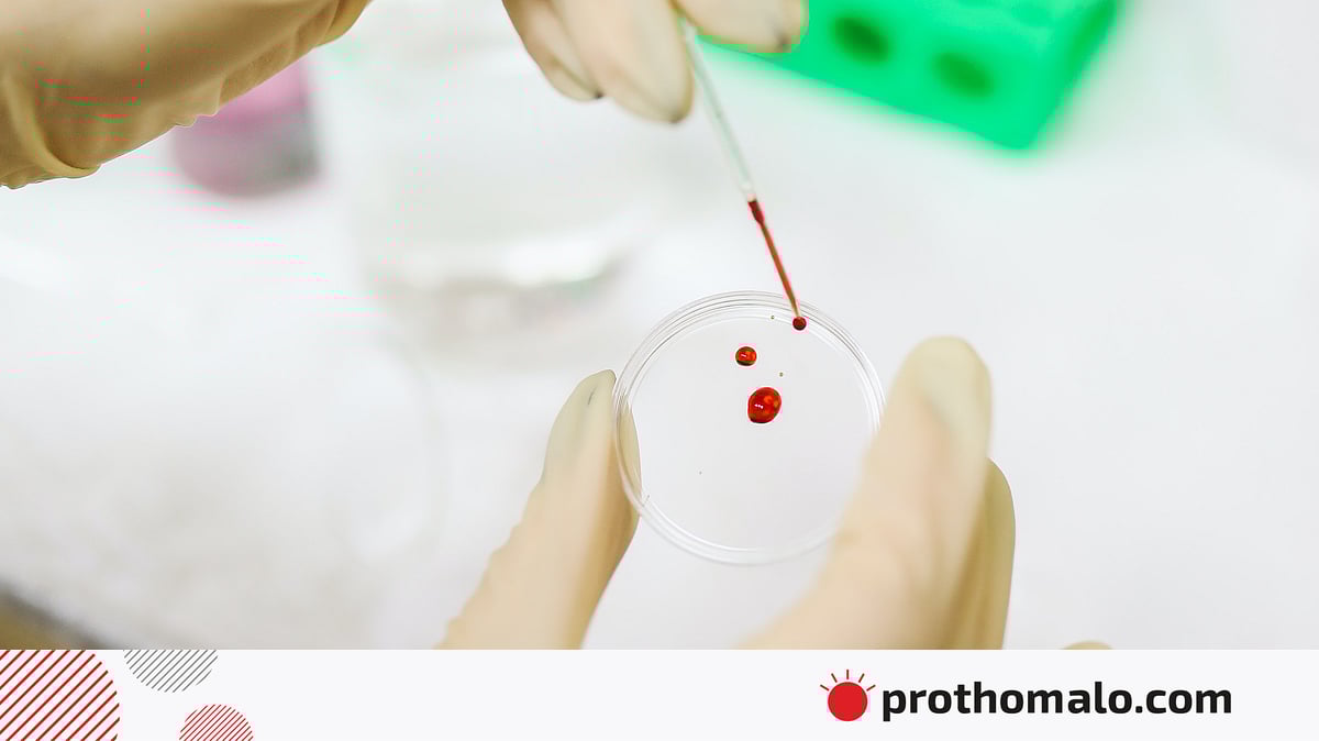 Lili Lamour porno Ayollar mushukchalariga katta narsalarni qoyishadi