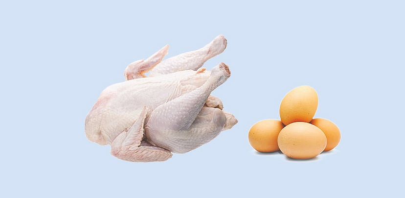 ডিম ও মুরগি