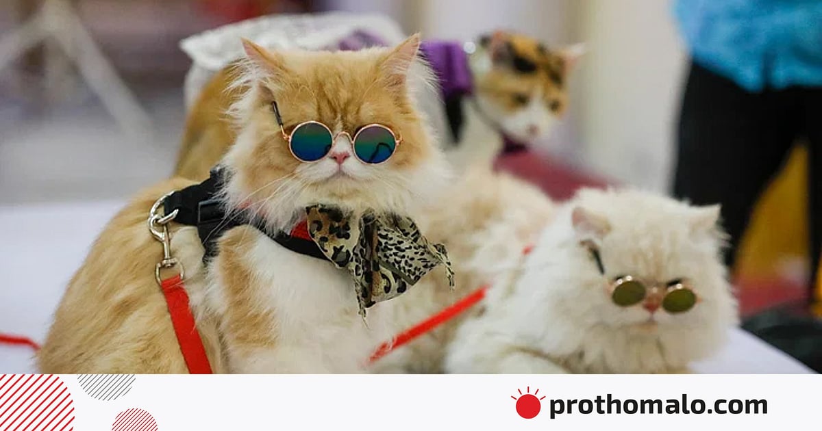 Qizlarni sikayotgan erkaklar fotosuratlari Men Zelenogradda minaj beraman