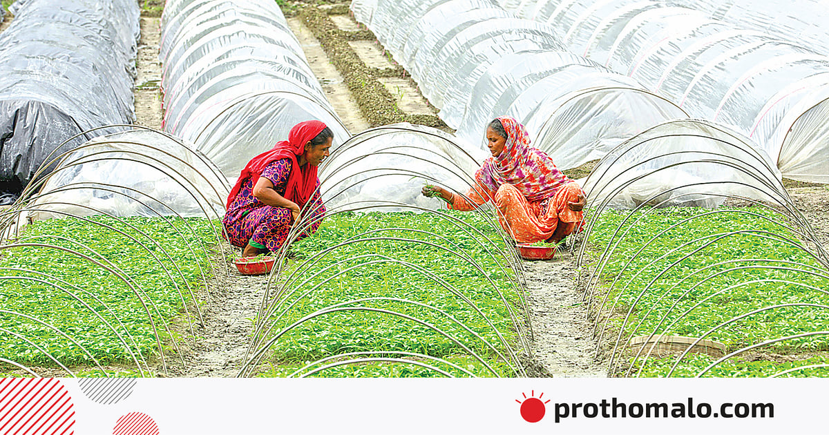 Porno yigit bokira qizni sikdi Itlar bilan qizlar porno video