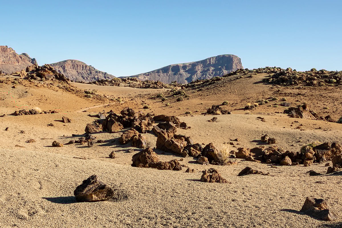 প্রতীকী ছবি