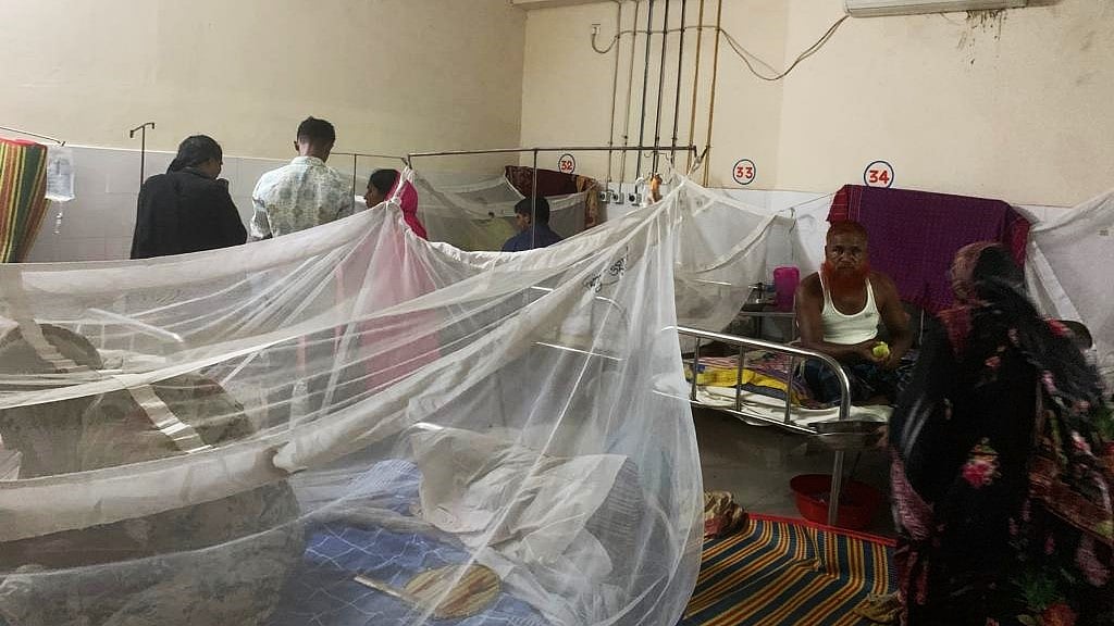 মশারি টাঙিয়ে ডেঙ্গু আক্রান্ত রোগীদের চিকিৎসা চলছে