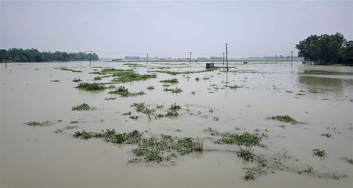 উজান থেকে নেমে আসা পাহাড়ি ঢল ও ভারী বর্ষণে জামালপুরে যমুনা নদীর পানি বাড়ছে। এ নদীর তীরবর্তী নিম্নাঞ্চল প্লাবিত হতে শুরু করেছে। আজ বুধবার সকালে মেলান্দহ উপজেলার ঘোষেরপাড়া এলাকায়
