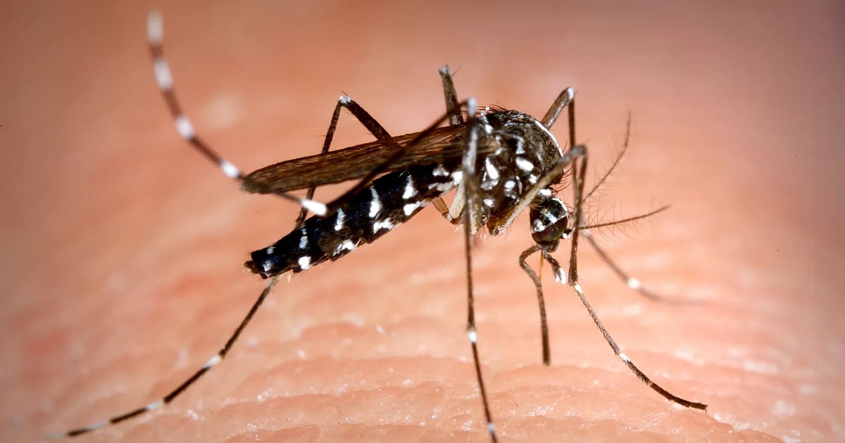 Qizil külotli sariq porno fotosurat Porno Julia Karlikos bilan