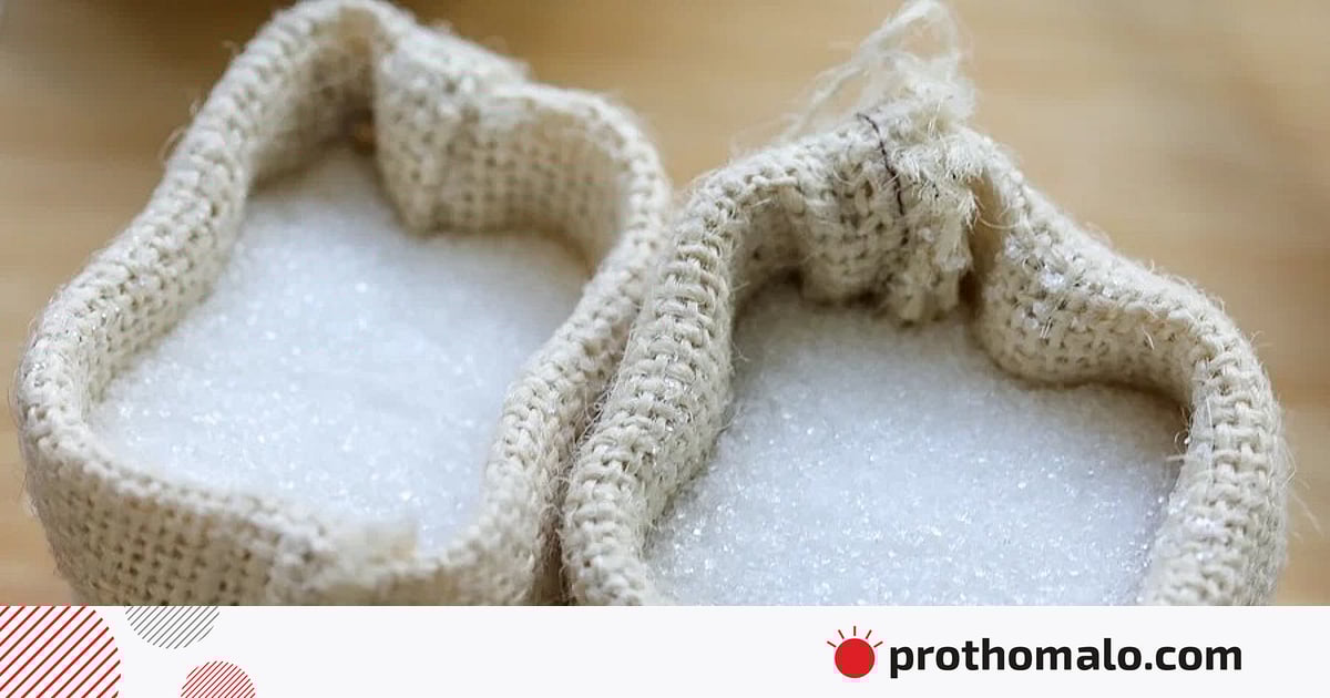 Katta sik tukli mushuk sikiklari mushuk Universitetdagi Maykl universitetdagi Allani sikadi