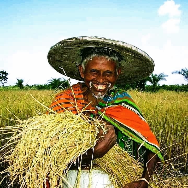 কৃষক বিজ্ঞানী হরিপদ কাপালী