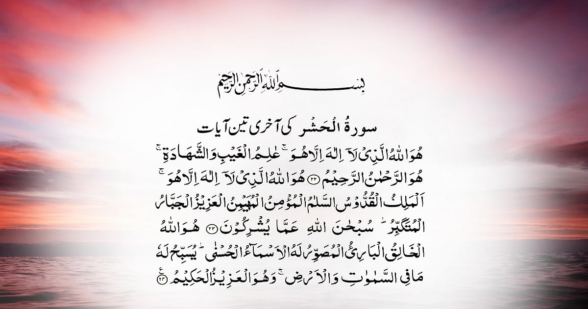 Parlamentga davogar porno yulduzlar Yalangoch Viktoriya Mango