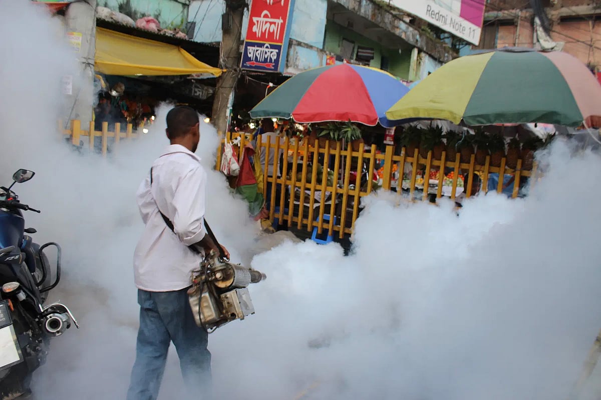 ধোঁয়া দিয়ে চলছে মশা মারার কাজ
