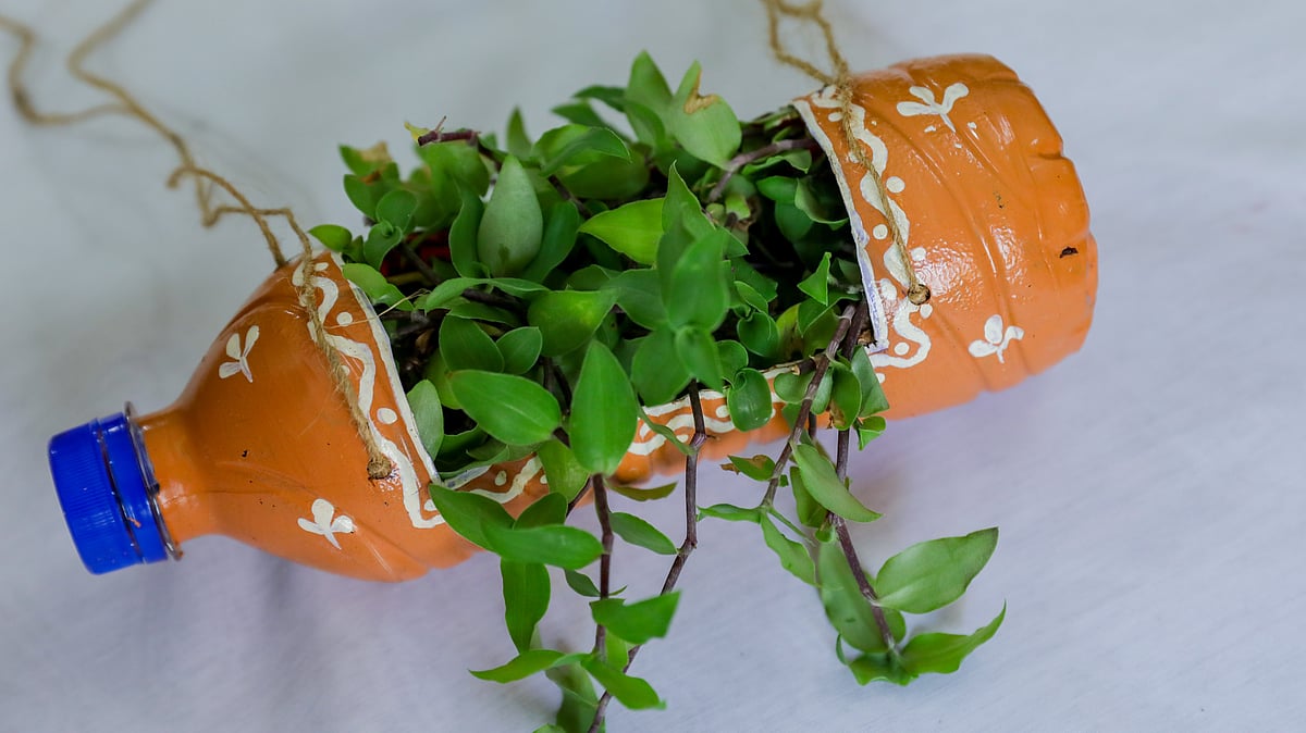 বাড়িতে থাকা খালি প্লাস্টিকের বোতল দিয়েই বানানো সম্ভব ভিন্ন স্টাইলের টব