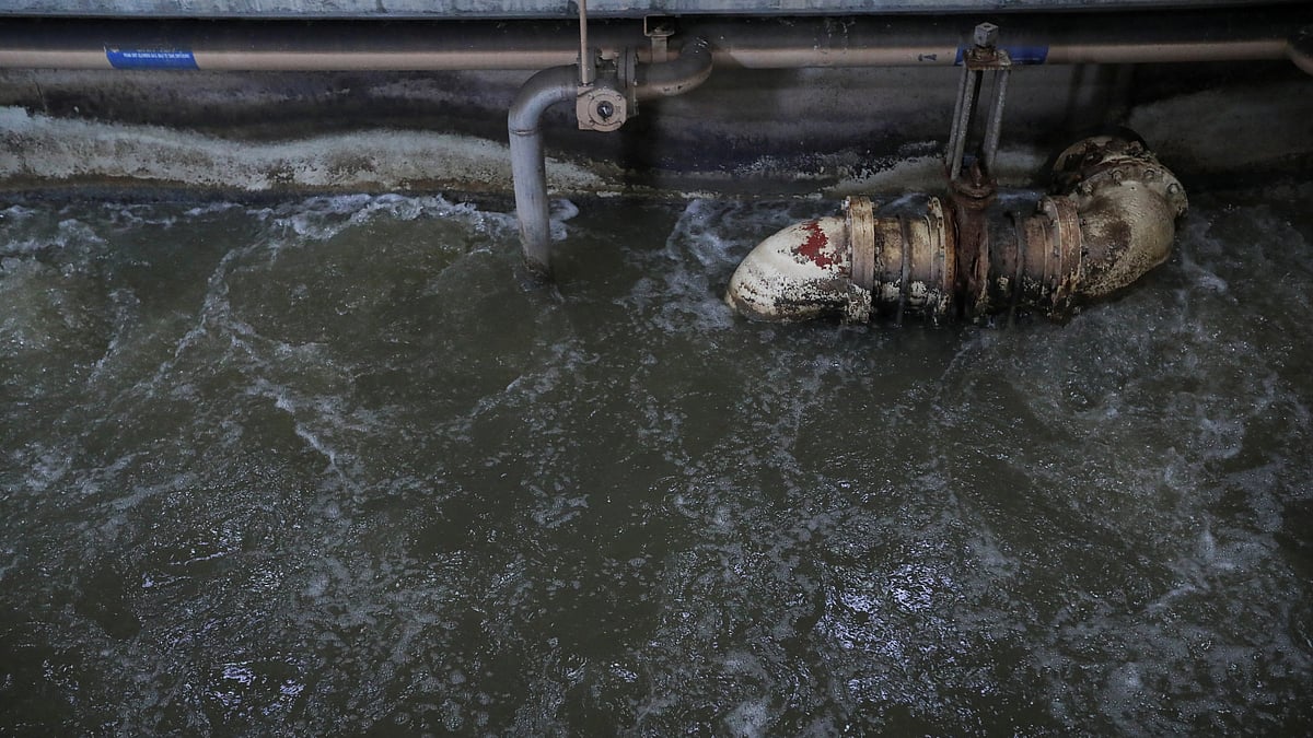 পানিতে থাকা রাসায়নিক পদার্থ, কীটনাশকসহ বিভিন্ন দূষিত কণা সহজেই পরিশোধন করতে পারে পানিপোকা।