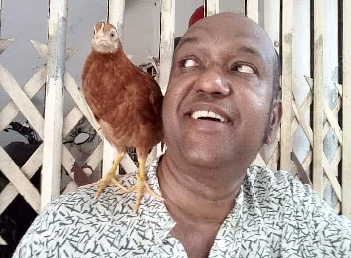 তারেক মাহমুদ