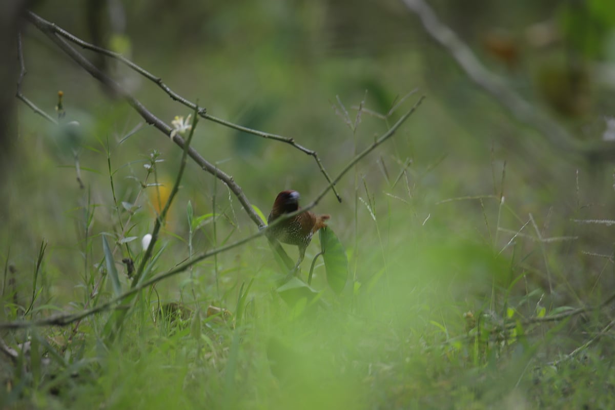 প্রতীকী ছবি