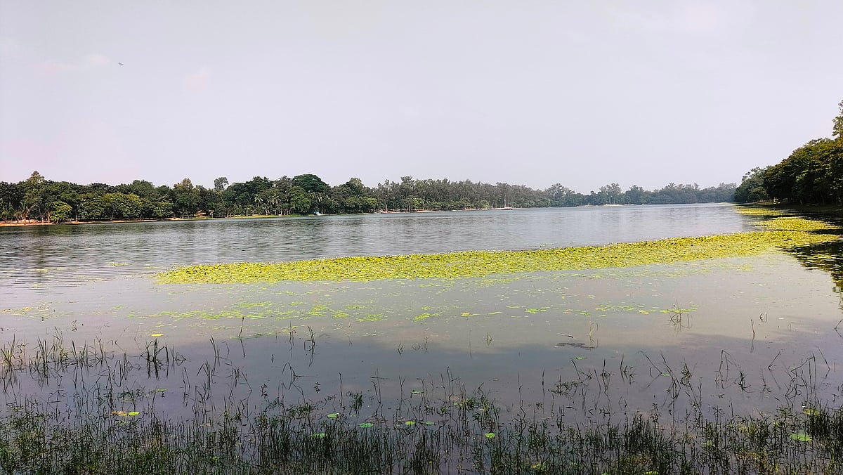 দিনাজপুরে আসা পর্যটকদের সবচেয়ে প্রিয় স্থান রামসাগর। সাগরের চারপাশে সামাজিক বনায়ন। রয়েছে চিড়িয়াখানা। রামসাগরের স্বচ্ছ নীল জলে মুগ্ধ হন পর্যটকেরা