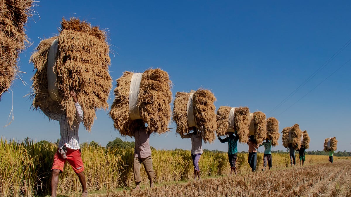 Yulduzli urushlar jinsiy aloqa Biseksual cuckold video