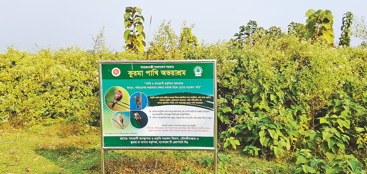 মৌলভীবাজারের কমলগঞ্জের ‘কুরমা পাখি অভয়াশ্রম’-এর সাইনবোর্ড
