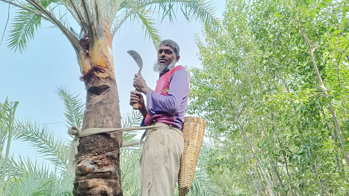 খেজুরের রস সংগ্রহের জন্য গাছ প্রস্তুতের কাজে ব্যস্ত গাছি আকবর আলী। শুক্রবার সকালে খুলনার কয়রা উপজেলার গোবরা গ্রামে