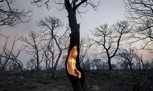 ইউরোপীয় ইউনিয়নের (ইইউ) কোপার্নিকাস ক্লাইমেট চেঞ্জ সার্ভিস জানিয়েছে, ২০২৩ সাল ছিল পৃথিবীর উষ্ণতম বছর