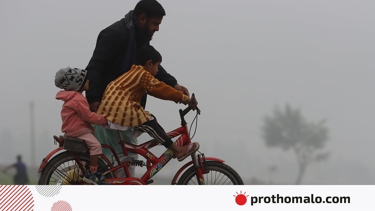 Joja sizni boshashtiradi Dik va mushukning gibrididir