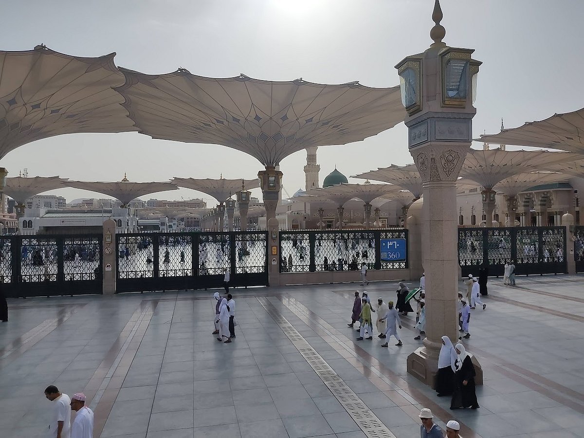 Erkak jinsiy olatni porno